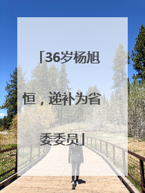36岁杨旭恒，递补为省委委员