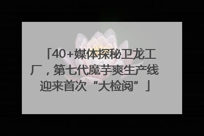 40+媒体探秘卫龙工厂，第七代魔芋爽生产线迎来首次“大检阅”