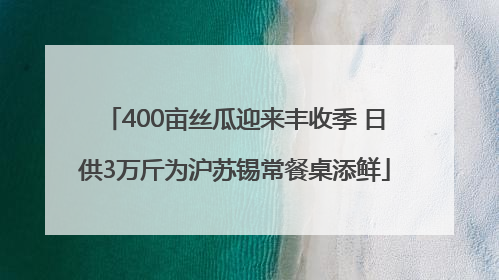 400亩丝瓜迎来丰收季 日供3万斤为沪苏锡常餐桌添鲜