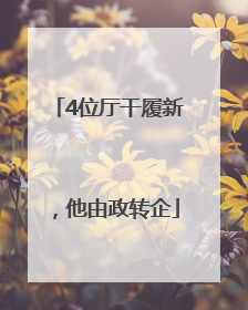 4位厅干履新，他由政转企
