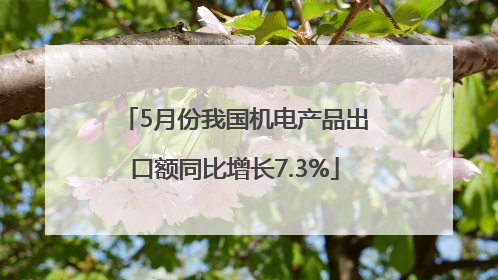 5月份我国机电产品出口额同比增长7.3%
