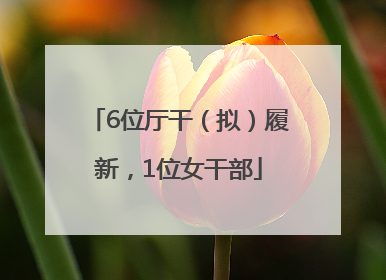 6位厅干（拟）履新，1位女干部