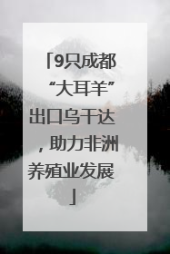 9只成都“大耳羊”出口乌干达，助力非洲养殖业发展