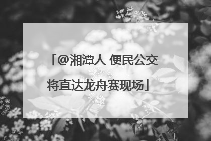 @湘潭人 便民公交将直达龙舟赛现场