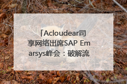 Acloudear司享网络出席SAP Emarsys峰会：破解流量困局，驱动精准增长