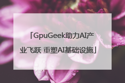 GpuGeek助力AI产业飞跃 重塑AI基础设施