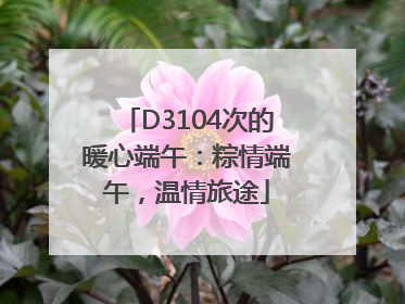 D3104次的暖心端午：粽情端午，温情旅途