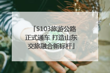 S103旅游公路正式通车 打造山东交旅融合新标杆